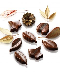 Moule Chocolat Nature Silikomart